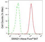SMAD1 Antibody in Flow Cytometry (Flow)