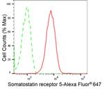 SSTR5 Antibody in Flow Cytometry (Flow)