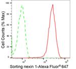 SNX1 Antibody in Flow Cytometry (Flow)
