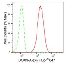 SOX9 Antibody in Flow Cytometry (Flow)