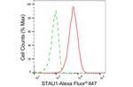 Staufen Antibody in Flow Cytometry (Flow)