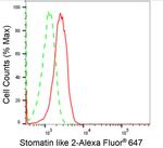 STOML2 Antibody in Flow Cytometry (Flow)