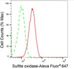 SUOX Antibody in Flow Cytometry (Flow)