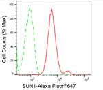 UNC84A Antibody in Flow Cytometry (Flow)