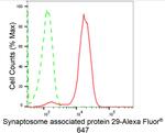 SNAP29 Antibody in Flow Cytometry (Flow)