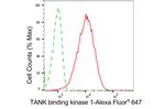 TBK1 Antibody in Flow Cytometry (Flow)