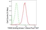 TBK1 Antibody in Flow Cytometry (Flow)