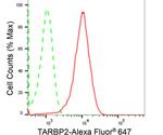 TRBP Antibody in Flow Cytometry (Flow)