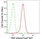 TMF1 Antibody in Flow Cytometry (Flow)