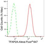 AP2 alpha Antibody in Flow Cytometry (Flow)