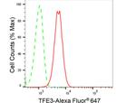 TFE3 Antibody in Flow Cytometry (Flow)