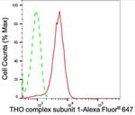 Nuclear Matrix Protein p84 Antibody in Flow Cytometry (Flow)