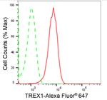 TREX1 Antibody in Flow Cytometry (Flow)