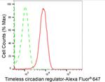 TIMELESS Antibody in Flow Cytometry (Flow)
