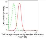 CD266 Antibody in Flow Cytometry (Flow)