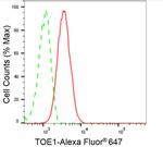 TOE1 Antibody in Flow Cytometry (Flow)