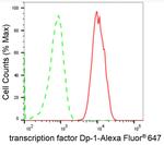 DP1 Antibody in Flow Cytometry (Flow)