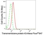 TMEM43 Antibody in Flow Cytometry (Flow)