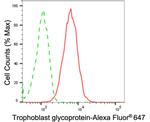 5T4 Antibody in Flow Cytometry (Flow)