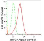 TRPM7 Antibody in Flow Cytometry (Flow)