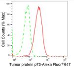 p73 Antibody in Flow Cytometry (Flow)