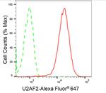 U2AF2 Antibody in Flow Cytometry (Flow)
