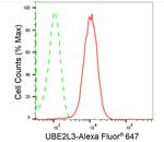 UBE2L3 Antibody in Flow Cytometry (Flow)