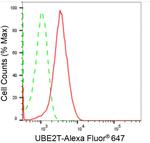 UBE2T Antibody in Flow Cytometry (Flow)