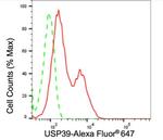 USP39 Antibody in Flow Cytometry (Flow)