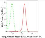 UBE4A Antibody in Flow Cytometry (Flow)