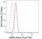 HYD Antibody in Flow Cytometry (Flow)