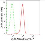 UNG Antibody in Flow Cytometry (Flow)