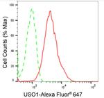 VDP Antibody in Flow Cytometry (Flow)