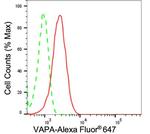 VAPA Antibody in Flow Cytometry (Flow)