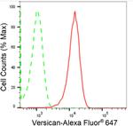 Versican Antibody in Flow Cytometry (Flow)