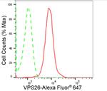 VPS26A Antibody in Flow Cytometry (Flow)