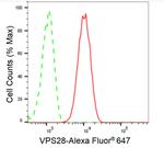 VPS28 Antibody in Flow Cytometry (Flow)