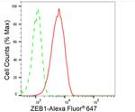 ZEB1 Antibody in Flow Cytometry (Flow)