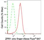 ZPR1 Antibody in Flow Cytometry (Flow)