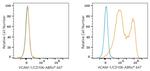 VCAM-1 Antibody in Flow Cytometry (Flow)