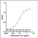 CD19 (Tafasitamab Biosimilar) Antibody in ELISA (ELISA)
