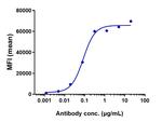 Tafasitamab Humanized Recombinant Human Monoclonal Antibody