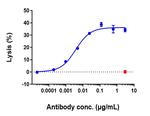 CD20 (Rituximab Biosimilar) Antibody in ELISA (ELISA)