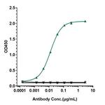 CD20 (Rituximab Biosimilar) Antibody in Flow Cytometry (Flow)
