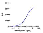 Rituximab Chimeric Recombinant Human Monoclonal Antibody