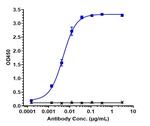 CD37 (Naratuximab Biosimilar) Antibody in ELISA (ELISA)