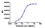 Naratuximab Recombinant Human Monoclonal Antibody