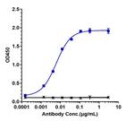 Amivantamab Recombinant Human Monoclonal Antibody