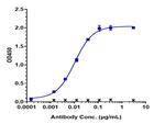 FCRN (Rozanolixizumab Biosimilar) Recombinant Human Monoclonal Antibody