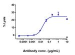 Bemarituzumab Antibody in ELISA (ELISA)
